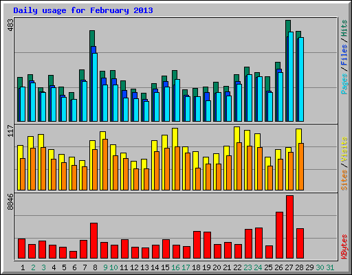 Daily usage for February 2013