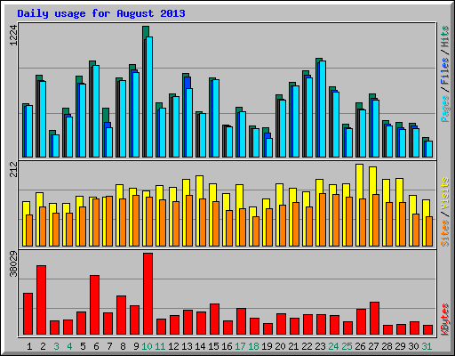 Daily usage for August 2013