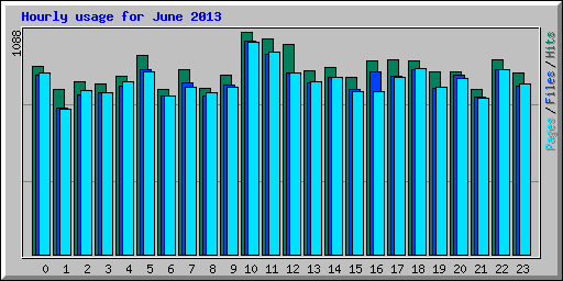 Hourly usage for June 2013
