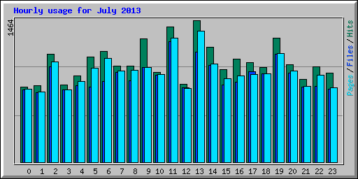 Hourly usage for July 2013