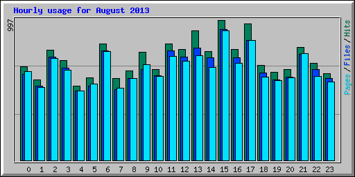 Hourly usage for August 2013