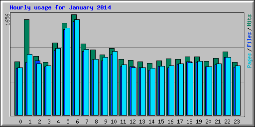 Hourly usage for January 2014