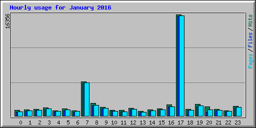 Hourly usage for January 2016