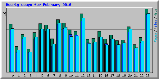 Hourly usage for February 2016