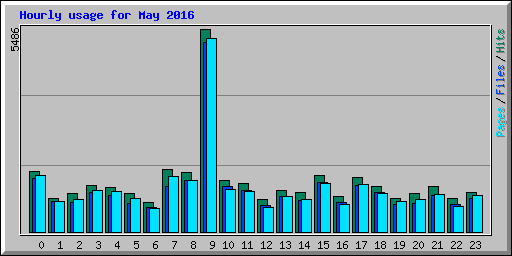 Hourly usage for May 2016