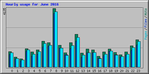 Hourly usage for June 2016