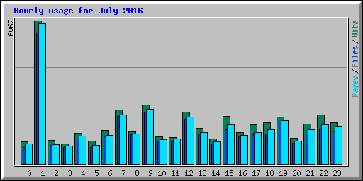 Hourly usage for July 2016