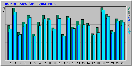 Hourly usage for August 2016