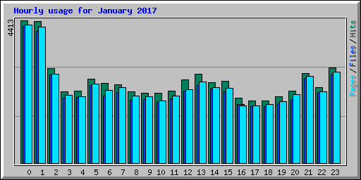 Hourly usage for January 2017